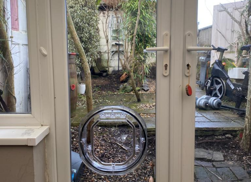 Animal door on small glass door