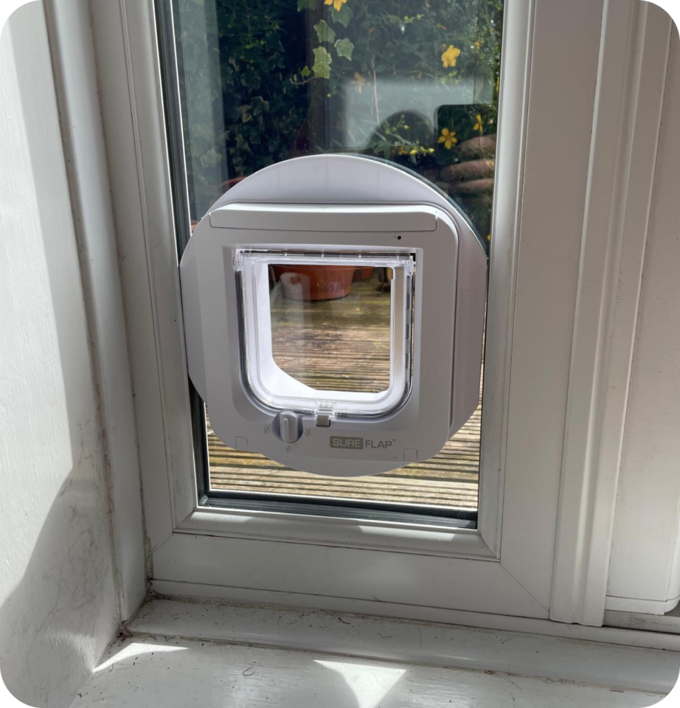 cat flap installed in narrow window