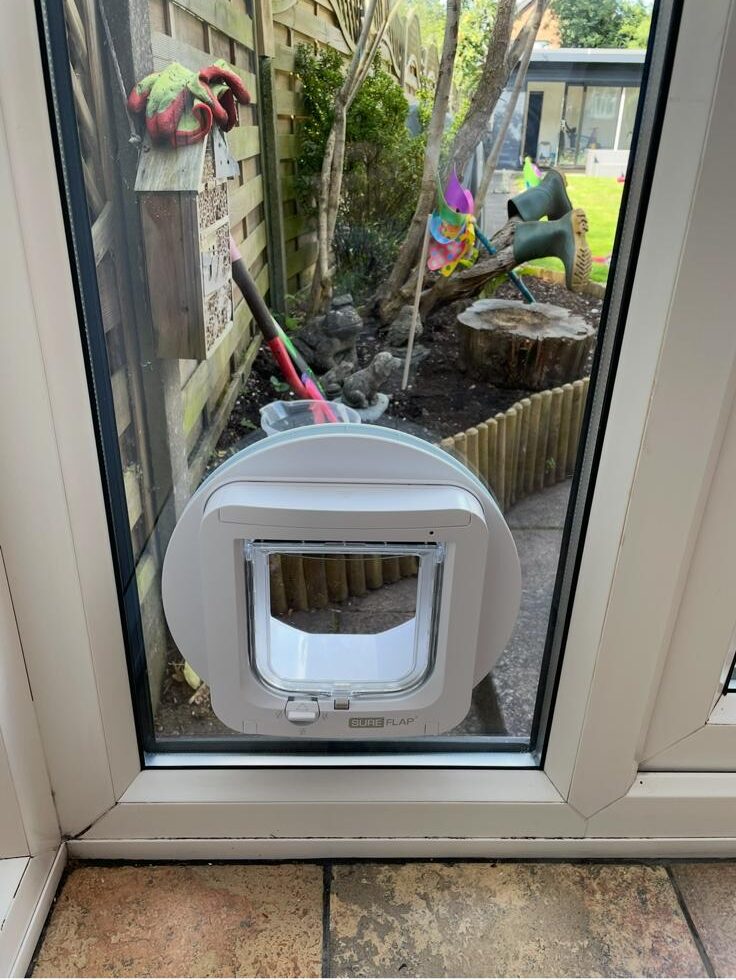 WhatsApp Image 2026-02-06 at 7.02.04 PM (5)