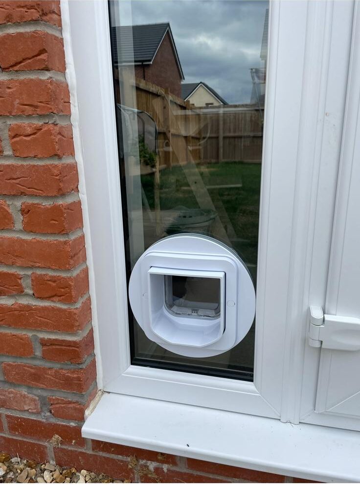 WhatsApp Image 2026-02-06 at 7.02.04 PM (6)