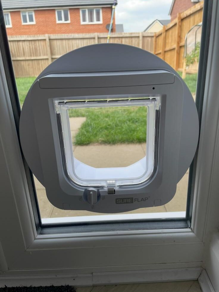 WhatsApp Image 2026-02-06 at 7.02.04 PM (7)