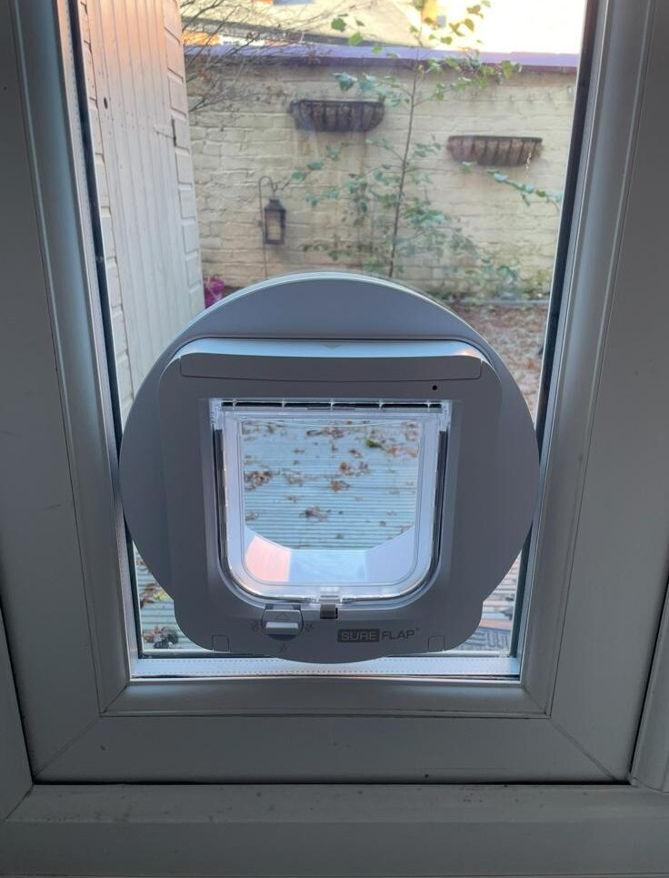 WhatsApp Image 2026-02-06 at 7.02.04 PM (2)