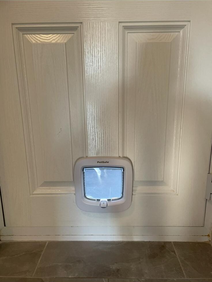 WhatsApp Image 2026-02-06 at 7.02.04 PM (4)